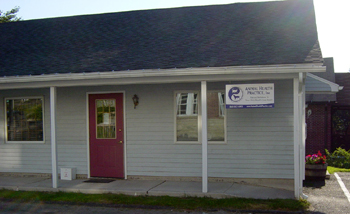 Animal Health Practice, veterinary practice dedicated to pet stem cell therapy, pet acupuncture, pet chiropractic, veterinary Traditional Chinese Medicine (TCM), and herbal medicine for dogs and cats, Litchfield, Connecticut